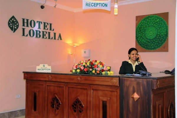 Hotel Lobelia image 29